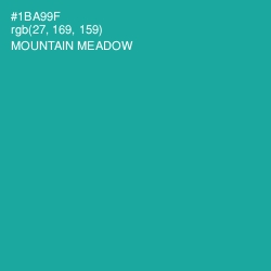 #1BA99F - Mountain Meadow Color Image